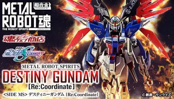 METAL ROBOT 데스티니 건담 [Re:Coordinate]