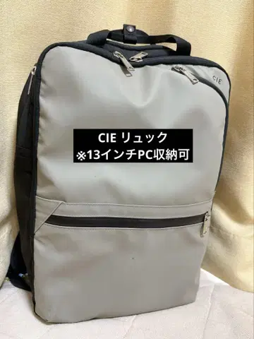 CIE 그레이 비즈니스 백팩
