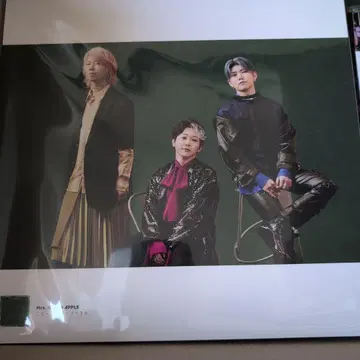 Mrs. GREEN APPLE 앨범 10 사진 포스터