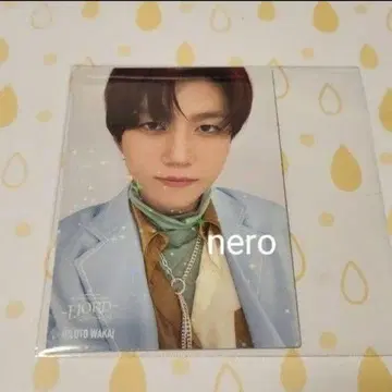 Mrs.GREEN APPLE 피요르드 포토 카드 와카이 코토 레어 042