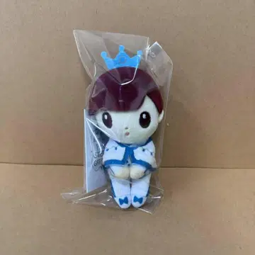 신궁지 용태 츄코리 씨