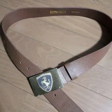 Ferrari 브라운 벨트 말 로고