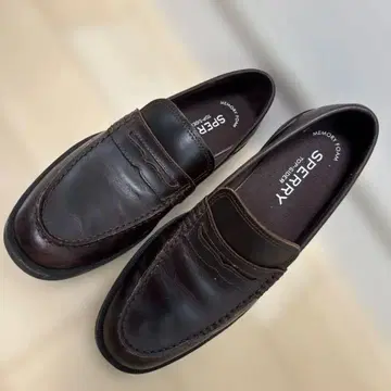 Sperry Top-spider 남성용 로퍼 가죽 브라운 25.0