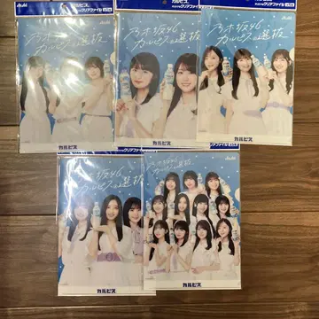 노기자카46 카르피스 클리어 파일 전 5종 B5 사이즈