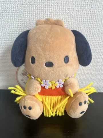 미사용 새상품 산리오 일광화상 포차코 괌 한정품 마스코트
