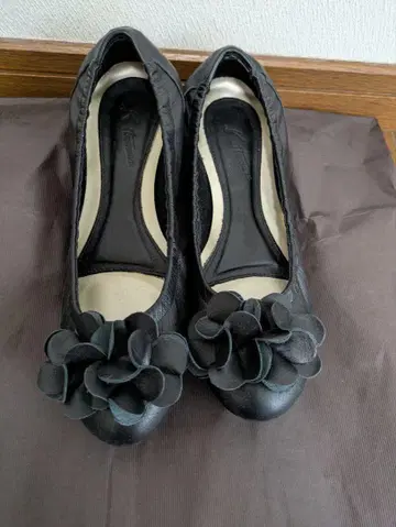 키타무라 커터 신발