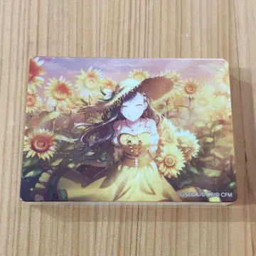 프로세카 노블 아트 컬렉션 vol.44 시로이시 안