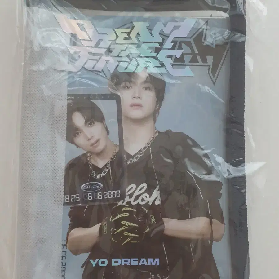 Dream Show 4 MD Haechan Binder Dream Show MD WTS at cost | Bunjang