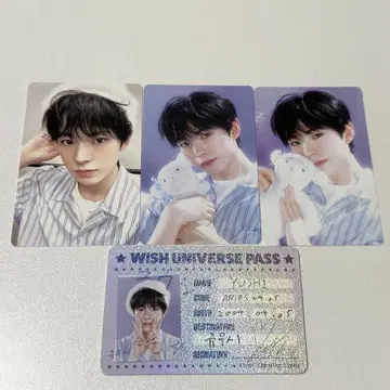 nctwish 유우시 트레이딩 카드 시그리 세트