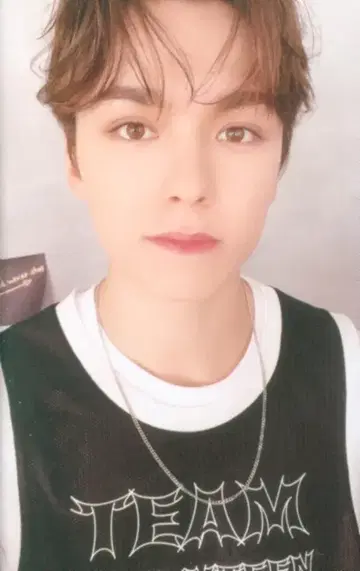 SEVENTEEN in Twenty VERNON 트레이딩 카드