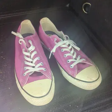 CONVERSE 바이올렛
