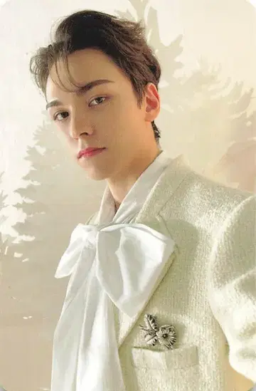 SEVENTEEN 아이노치카라 VERNON 트레이딩 카드