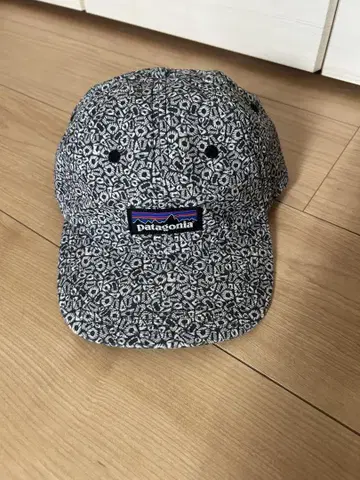 Patagonia 파타고니아 캡