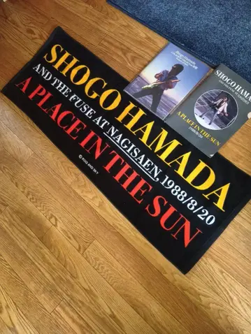하마다 쇼고 A PLACE IN THE SUN 타월 팜플렛