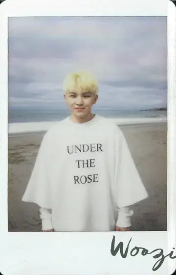 세븐틴 우지 Al1 Ver2