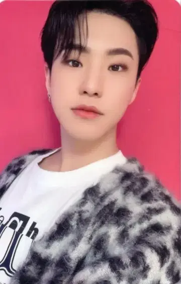 SEVENTEEN 혼자가 아니야 HOSHI 트레이딩 카드