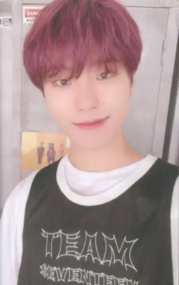 SEVENTEEN in Twenty DINO 트레이딩 카드