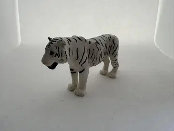 아니아 화이트 타이거