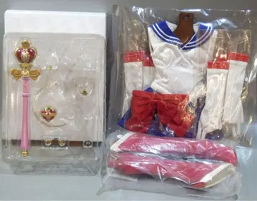 보크스 디폴트 의상 DDS 세일러문
