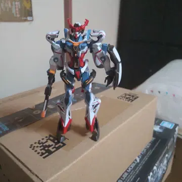 HG 지크 액스