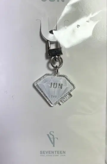 SEVENTEEN 돔 투어 2020 준 아크릴 키링