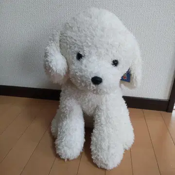 토이저러스 봉제 인형 토이 푸들