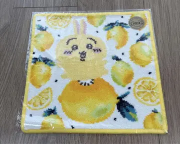 페이러 치이카와 토끼