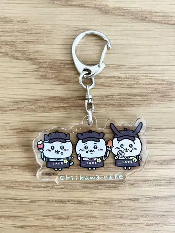 치이카와 카페 치이카와 하치와레 토끼