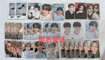 &team FUMA 트레이딩 카드 묶음 판매 28장