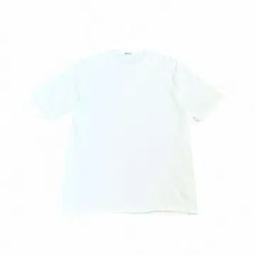AURALEE LUSTER PLAITING TEE 라스터 플레이트