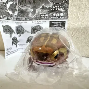 생물대도감 레프티 뿔개구리와 아메후쿠라개구리 라이트