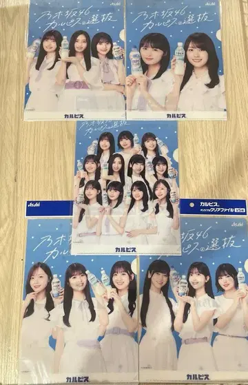 아사히 노기자카46 칼피스 B5 클리어 파일 전 5종 컴플리트