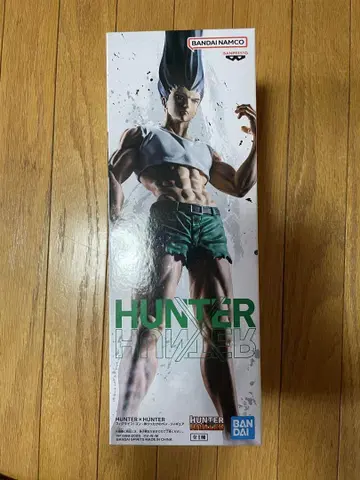 헌터x헌터 곤 프리크스 피규어