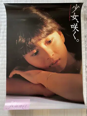 카와이 나호코 포스터