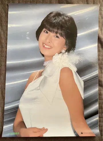 카와이 나호코 포스터
