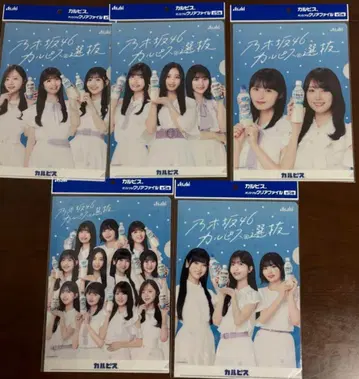 노기자카46 칼피스 클리어 파일 전 5종류 컴플리트