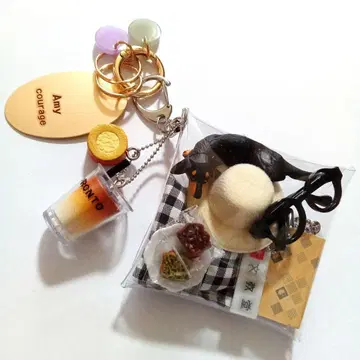 가챠 파우치 PRONTO 북 참