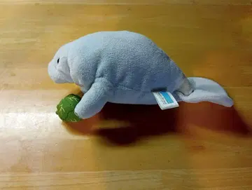 마나티 봉제 인형