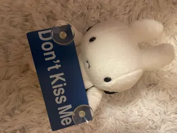Don't Kiss Me 미피 소 자동차 플레이트 스티커 쇼와 레트로