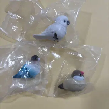 허그 코트 코도노 토리