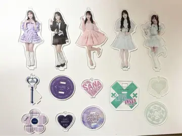 이코러브 모로하시 사나 아크릴 스탠드 핑키 의상 투어 5종 세트