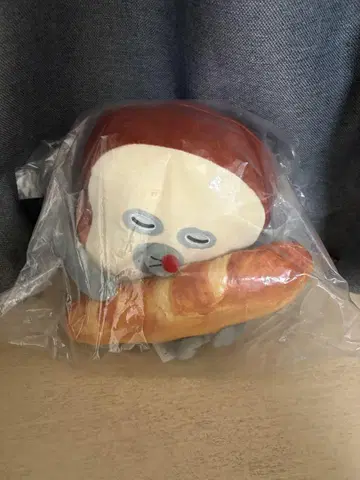 사오짱, 안녕하세요.
