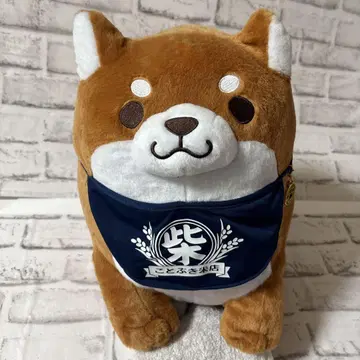 충견 모치시바 시바견 봉제 인형 L 특대형 참 모치시바