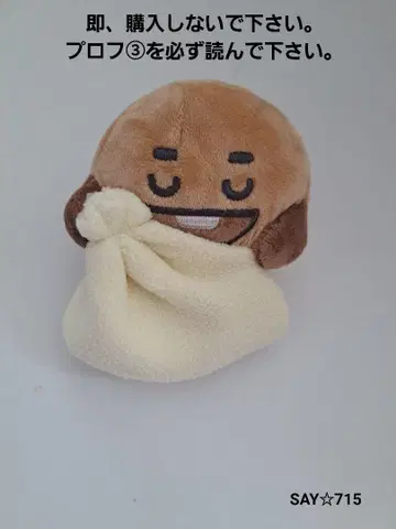 BTS 봉제 인형 담요를 든 봉제 인형