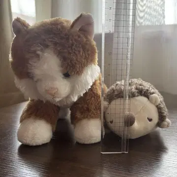 고양이와 고슴도치 봉제 인형 세트