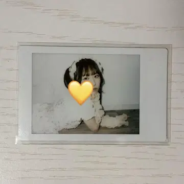 시마무라 기우타 란체키 큐루린테 미테