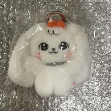 미니브 10cm 원영