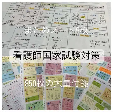 간호사 국가 시험 대책 850매의 대량 스티커 메모 + 9매의 요약 노트