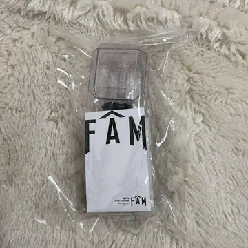 FAM 응원봉 timelesz