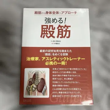 둔근에서 전신으로 접근 강화! 둔근